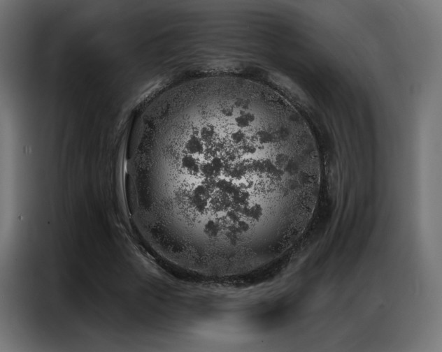 X0000086930729200704161423