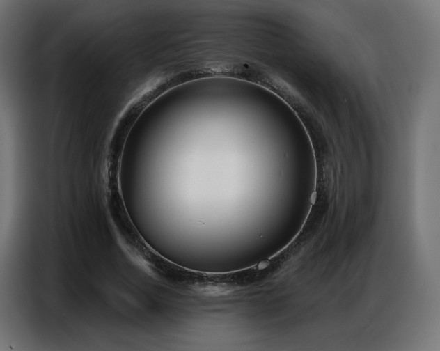 X0000086930730200704161424