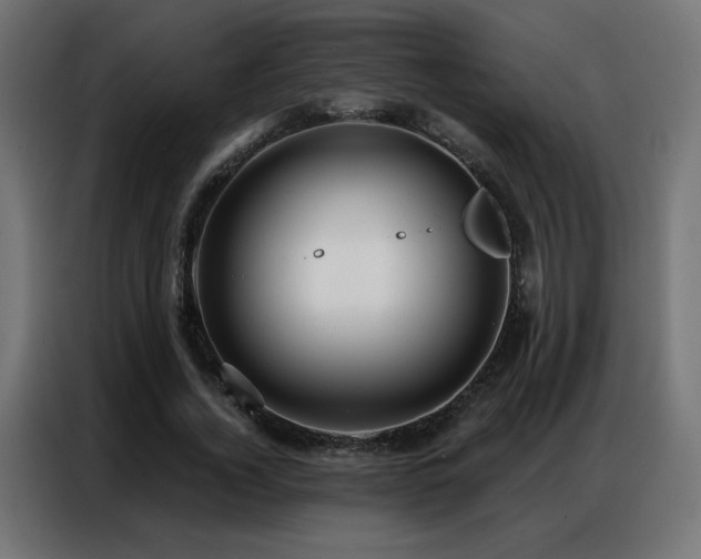 X0000086930732200704161424