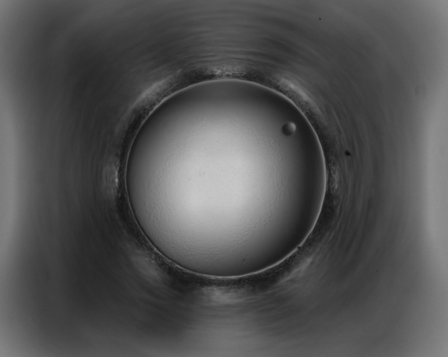 X0000086930733200704161424
