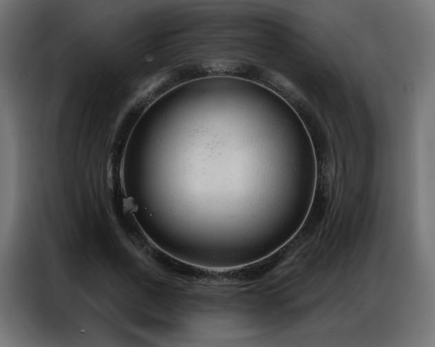 X0000086930734200704161424