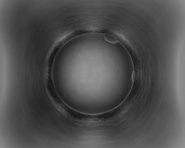 X0000086930736200704161424