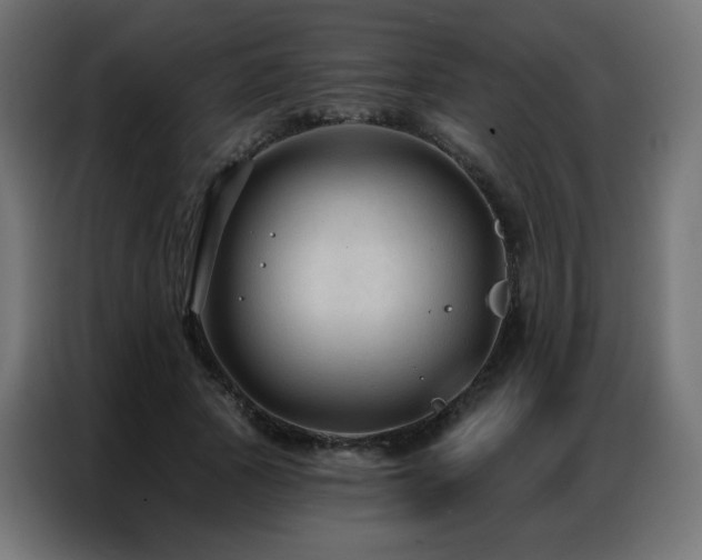 X0000086930737200704161424