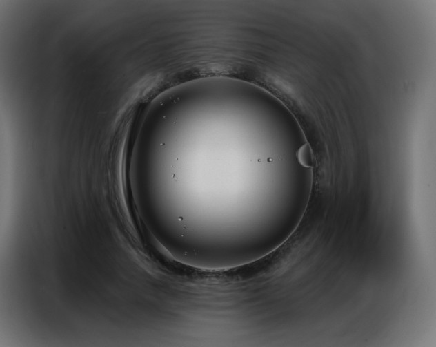 X0000086930738200704161424