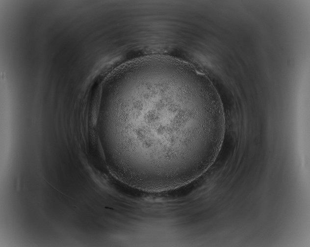 X0000086930742200704161424