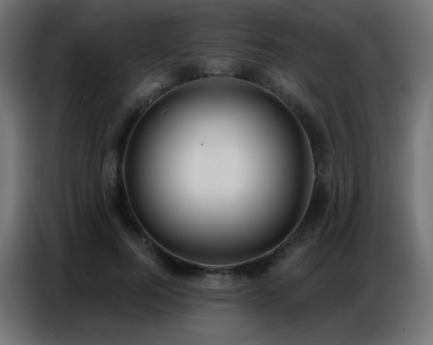 X0000086930744200704161424