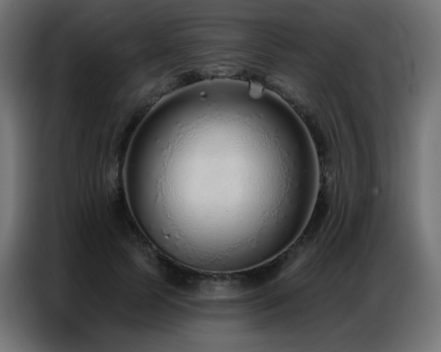 X0000086930745200704161424