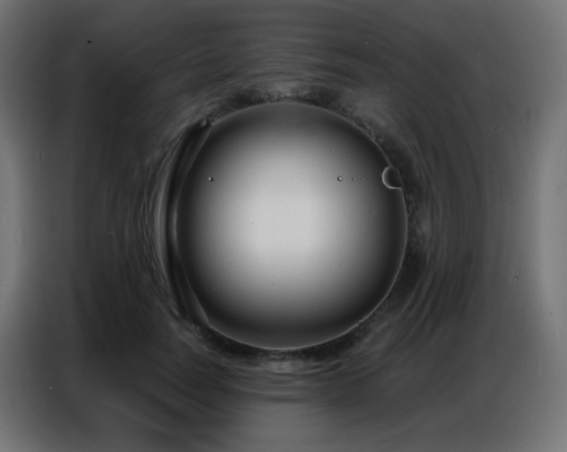 X0000086930746200704161424