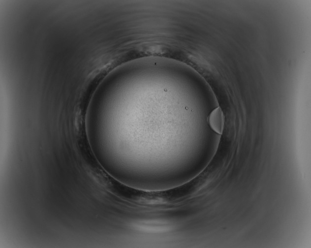 X0000086930747200704161424