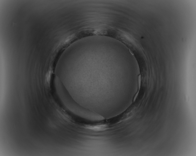 X0000086930748200704161424