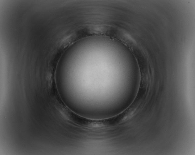 X0000086930749200704161424