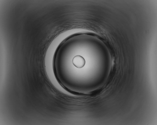 X0000086930750200704161424