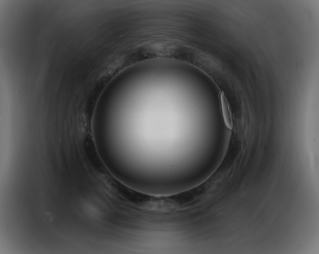 X0000086930752200704161424