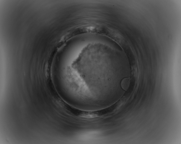 X0000086930754200704161424