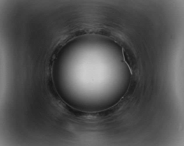 X0000086930756200704161424