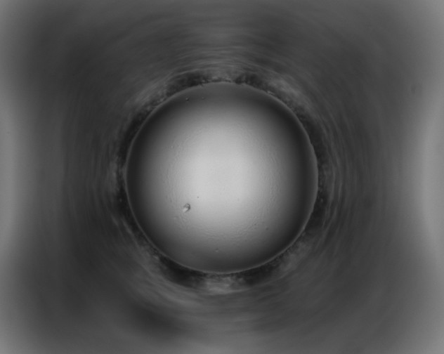 X0000086930757200704161424