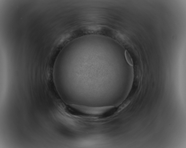 X0000086930758200704161424