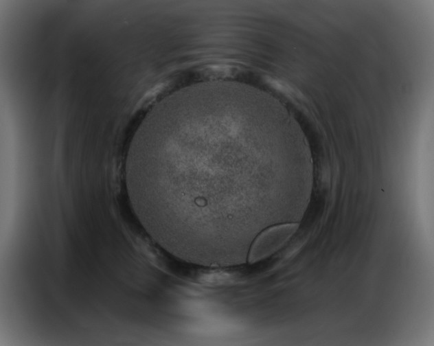 X0000086930759200704161424