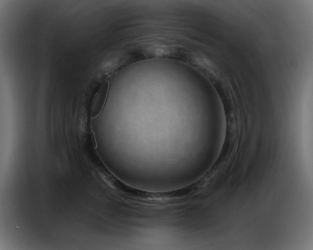 X0000086930760200704161424