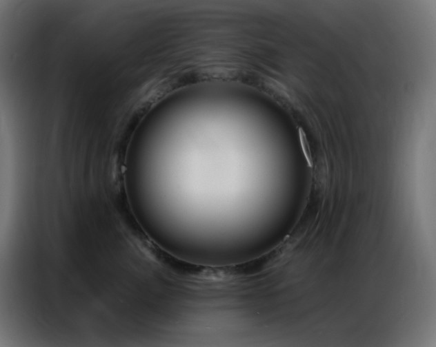 X0000086930764200704161424