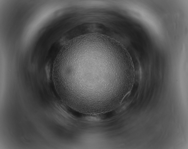 X0000086930765200704161424