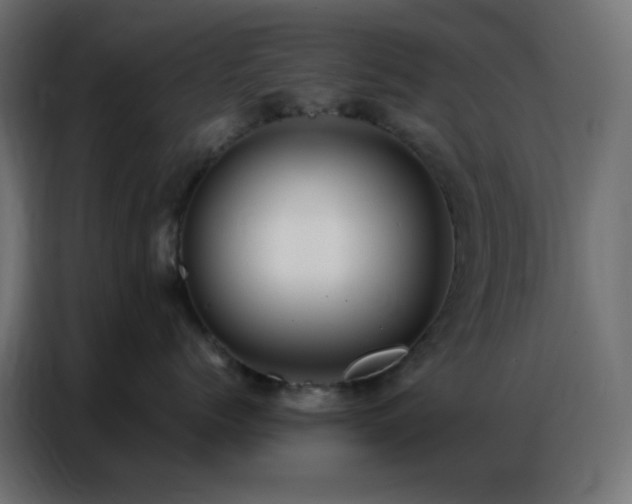 X0000086930768200704161424