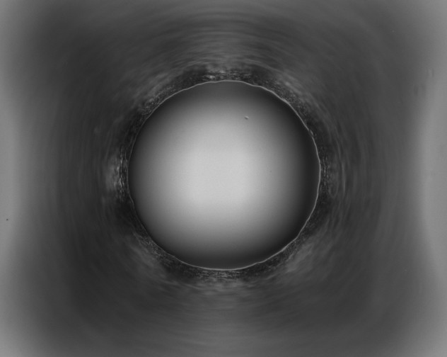 X0000086930770200704161423
