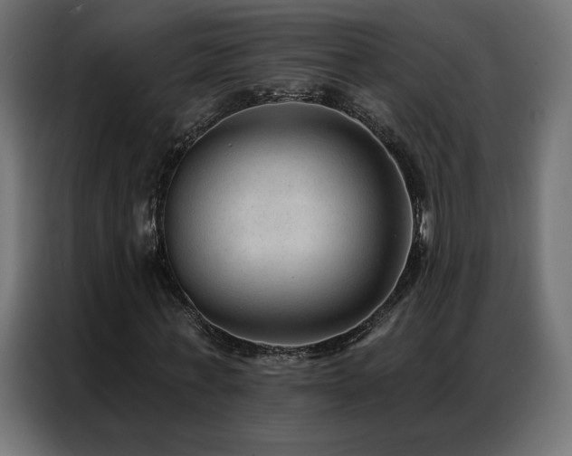 X0000086930771200704161423