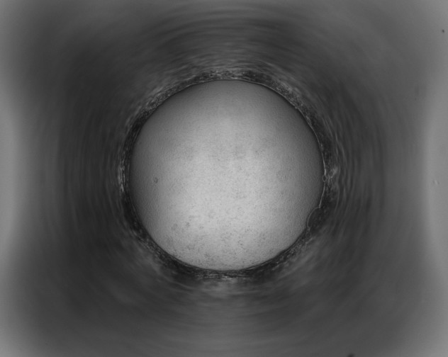 X0000086930772200704161423