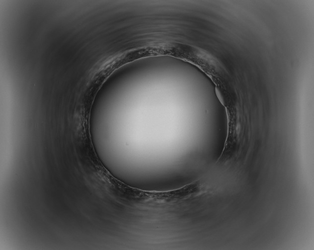 X0000086930773200704161423