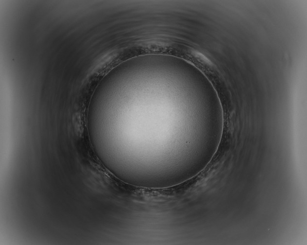 X0000086930774200704161423