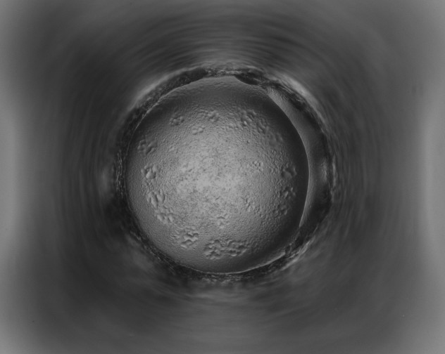 X0000086930775200704161423