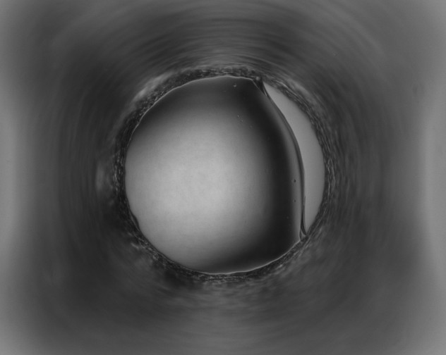 X0000086930776200704161423