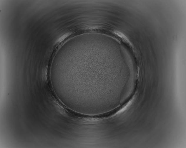 X0000086930777200704161423