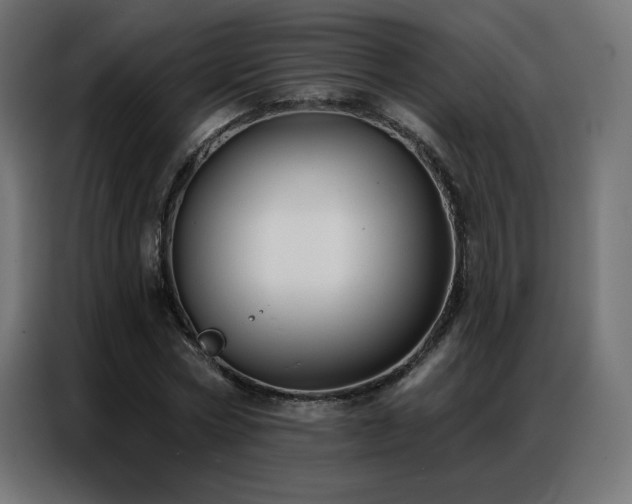 X0000086930778200704161423