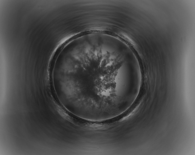 X0000086930779200704161423