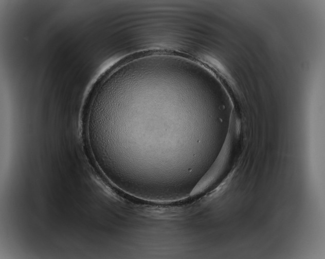 X0000086930780200704161423