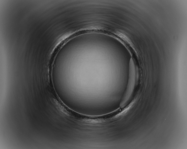 X0000086930781200704161423