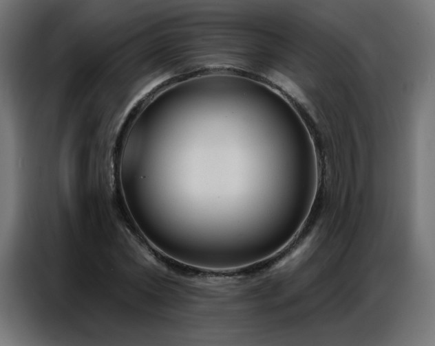 X0000086930782200704161423