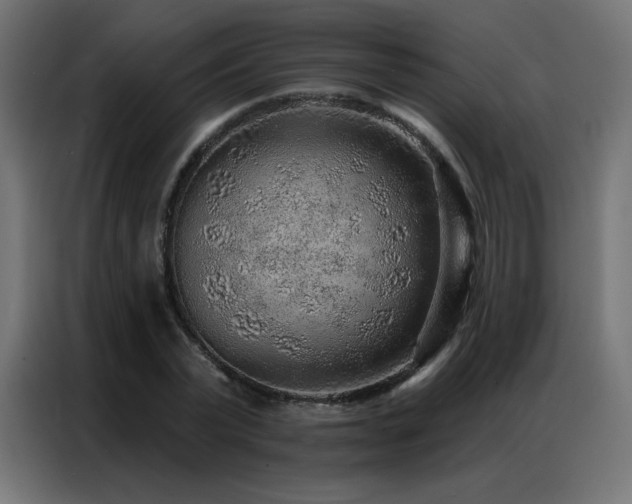 X0000086930783200704161423