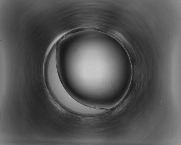 X0000086930788200704161423