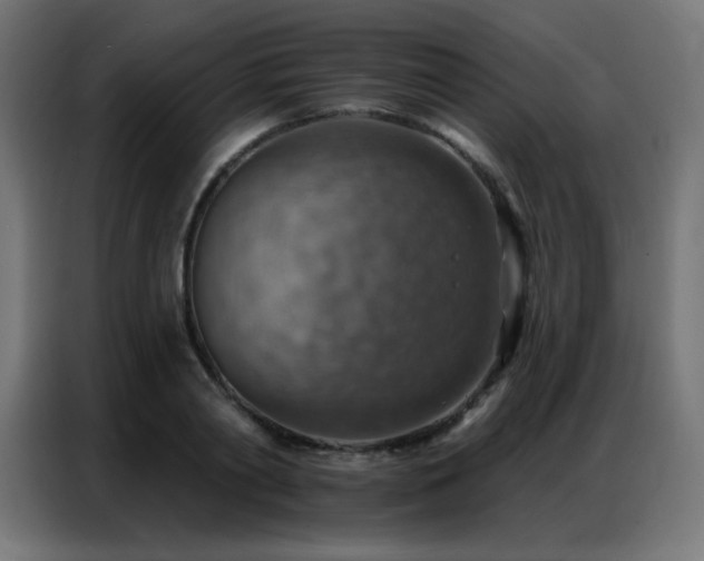 X0000086930790200704161423