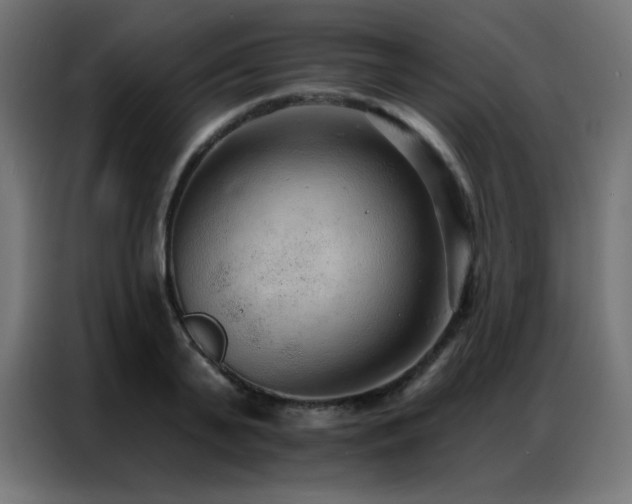 X0000086930791200704161423