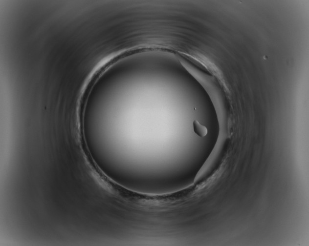 X0000086930792200704161423