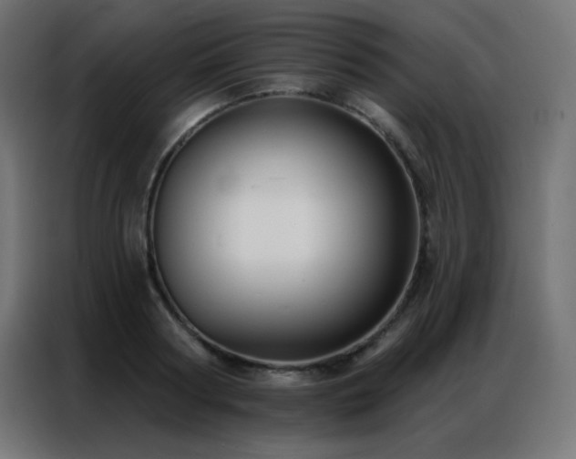 X0000086930794200704161423