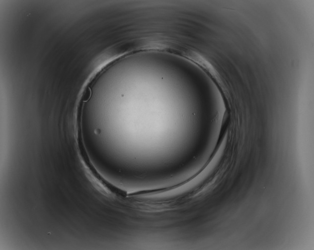 X0000086930795200704161423