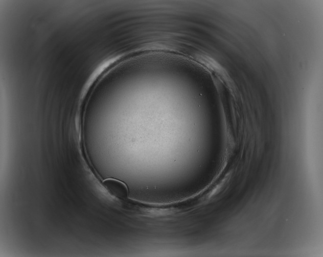 X0000086930796200704161423