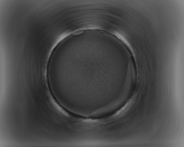 X0000086930797200704161423