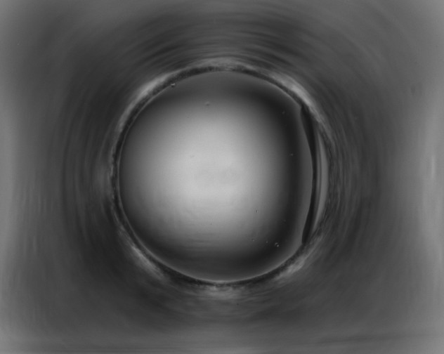 X0000086930799200704161423