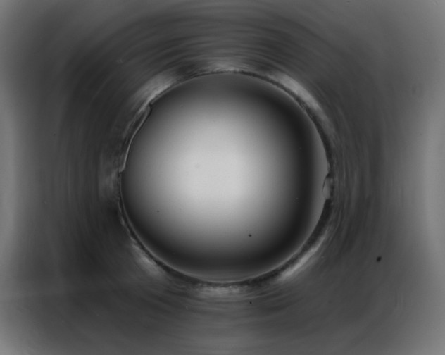 X0000086930801200704161423